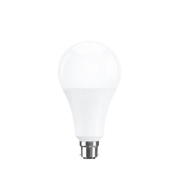 23W Bulb